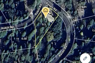 23568 Robin Rd, Pioneer, CA 95666 - Photo 48