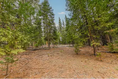 27627 Ashland Drive, Pioneer, CA 95666 - Photo 10