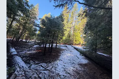 27627 Ashland Drive, Pioneer, CA 95666 - Photo 8