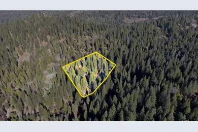 27627 Ashland Drive, Pioneer, CA 95666 - Photo 14