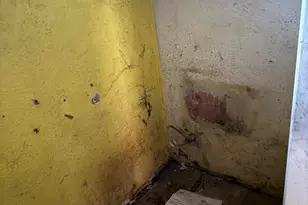 9019 Sheep Ranch Rd, Mountain Ranch, CA 95246 - Photo 14