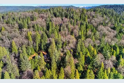 575 Frost Hill Road, Dutch Flat, CA 95714 - Photo 80