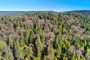 575 Frost Hill Rd, Dutch Flat, CA 95714 - Photo 80