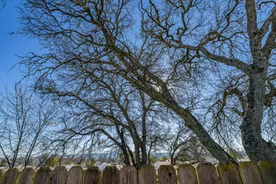 5594 Heritage Drive, Ione, CA 95640 - Photo 28