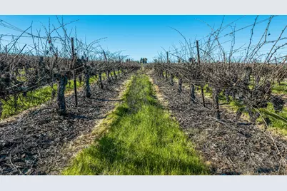 20075 E Kettleman Lane, Lodi, CA 95240 - Photo 18