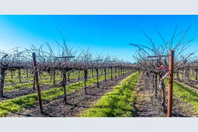 20075 E Kettleman Lane, Lodi, CA 95240 - Photo 16