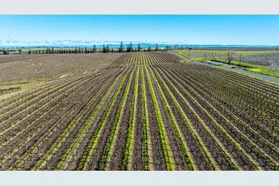 20075 E Kettleman Lane, Lodi, CA 95240 - Photo 22