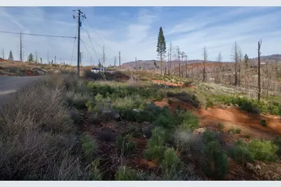 5087 Woodridge Drive, Grizzly Flats, CA 95636 - Photo 14