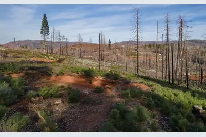 5087 Woodridge Drive, Grizzly Flats, CA 95636 - Photo 20