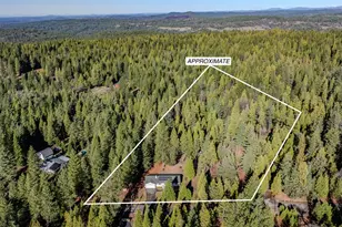 23781 Golden Ridge Dr, Volcano, CA 95689 - Photo 50