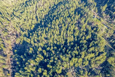 3500 Amapola Court, Pollock Pines, CA 95726 - Photo 30