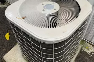 Whispering Palms Dr, Sacramento, CA 95828 - Photo 20