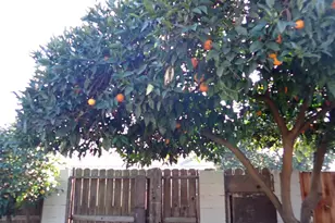 1306 Joni Ave, Modesto, CA 95350 - Photo 18