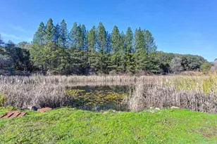 13598 Desperado Dr, Penn Valley, CA 95946 - Photo 34