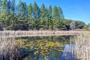 13598 Desperado Dr, Penn Valley, CA 95946 - Photo 2