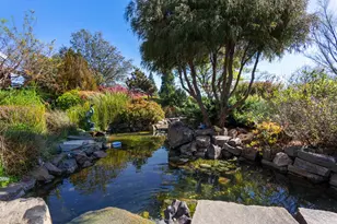 101 Lasso Lake Ct, Lincoln, CA 95648 - Photo 46
