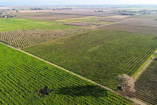 15910 N Locust Tree Rd, Lodi, CA 95240 - Photo 1