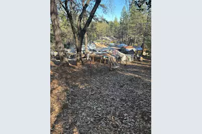 105 Meadow Gate Road, Meadow Vista, CA 95722 - Photo 10