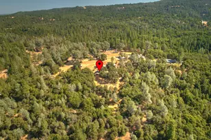 2870 Derrick Dr, Greenwood, CA 95635 - Photo 50