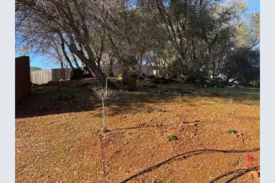 2579 Otter Trail, Cool, CA 95614 - Photo 48
