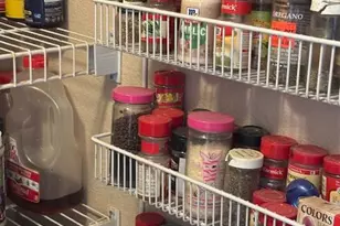 2579 Otter Trail, Cool, CA 95614 - Photo 52