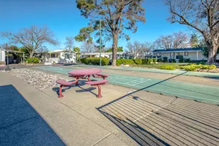 County Rd 21A, Esparto, CA 95627 - Photo 52