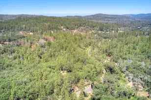 12896 Rices Crossing Rd, Oregon House, CA 95962 - Photo 68