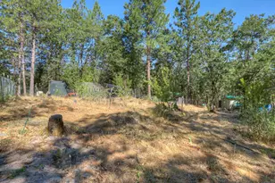 12896 Rices Crossing Rd, Oregon House, CA 95962 - Photo 56