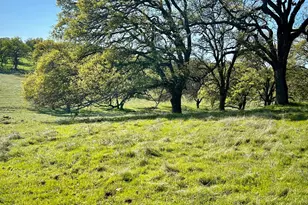 790 Los Verjeles Rd, Bangor, CA 95901 - Photo 98