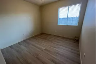 3321 Cardinal Flower Ave, Modesto, CA 95355 - Photo 12