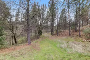14349 Barn Owl Rd, Nevada City, CA 95959 - Photo 48