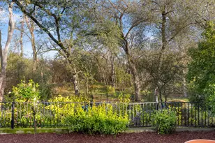 5033 St Francis, Rocklin, CA 95677 - Photo 38