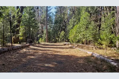 16136 Countrywood Lane, Nevada City, CA 95959 - Photo 1