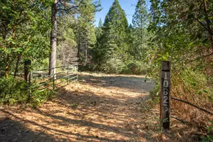 10625 Forbestown Rd, Challenge, CA 95925 - Photo 78