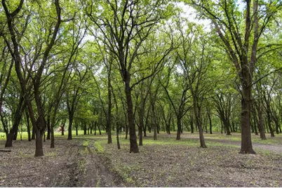 8685 River Road, Sacramento, CA 95832 - Photo 20