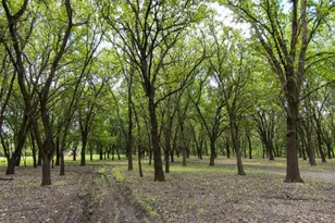 8685 River Rd, Sacramento, CA 95832 - Photo 20