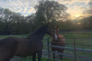 8685 River Rd, Sacramento, CA 95832 - Photo 18