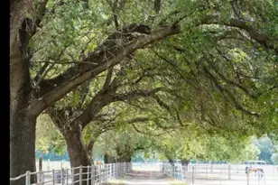 8685 River Rd, Sacramento, CA 95832 - Photo 82