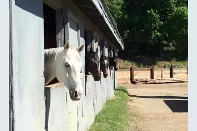 8685 River Road, Sacramento, CA 95832 - Photo 84