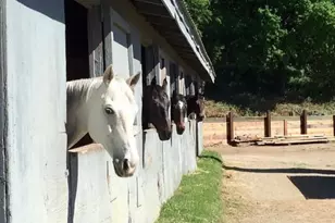 8685 River Rd, Sacramento, CA 95832 - Photo 84