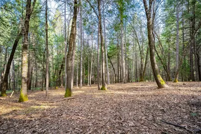 6035 Acorn Court, Foresthill, CA 95631 - Photo 46