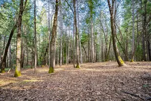 6035 Acorn Ct, Foresthill, CA 95631 - Photo 46