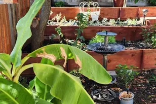 Auburn Folsom Rd, Granite Bay, CA 95746 - Photo 8