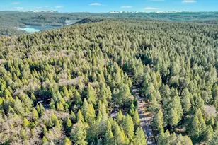 13202 Quaker Hill Cross, Nevada City, CA 95959 - Photo 50