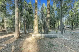 13202 Quaker Hill Cross, Nevada City, CA 95959 - Photo 76