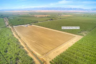 5463 Hankins Rd, Williams, CA 95987 - Photo 60