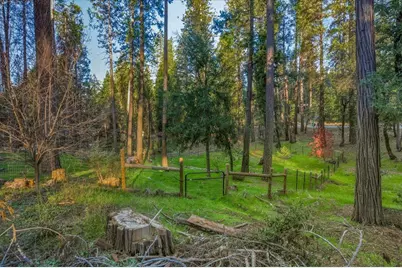 12159 Colfax Highway, Grass Valley, CA 95945 - Photo 34