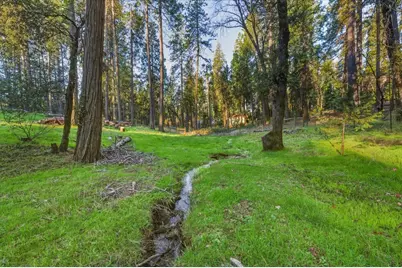 12159 Colfax Highway, Grass Valley, CA 95945 - Photo 32