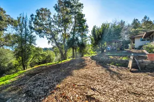 834 Carter Acres Ln, Martinez, CA 94553 - Photo 60