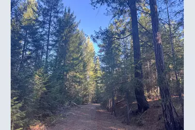 0 Ridge Road, Dutch Flat, CA 95714 - Photo 4